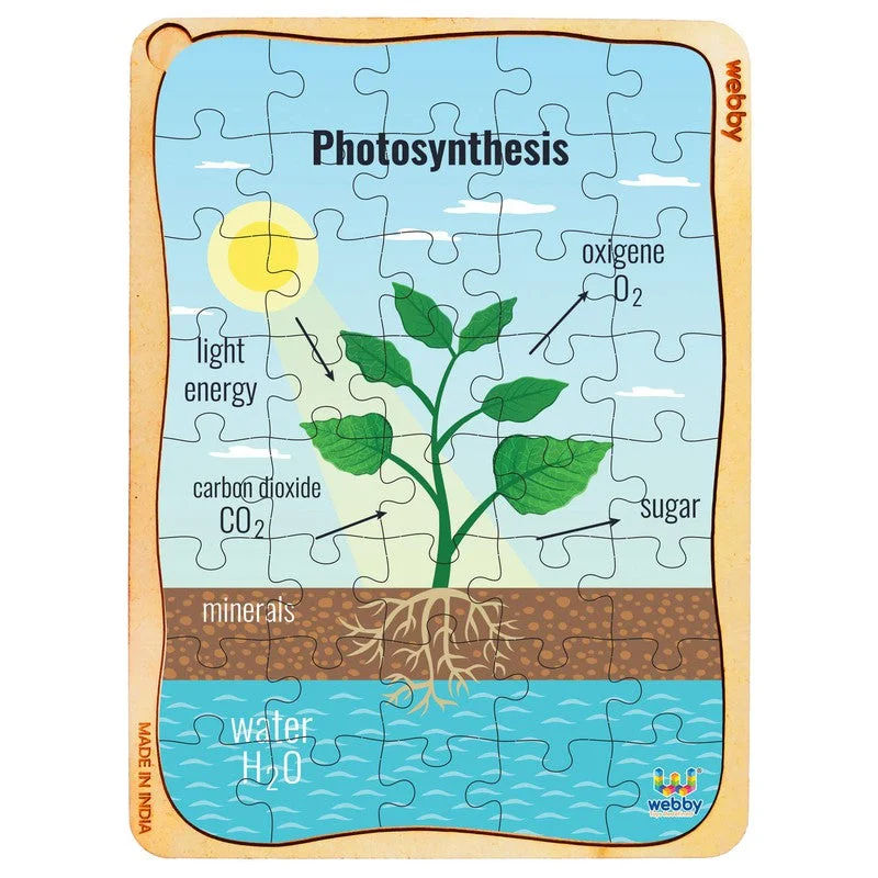 Wooden Puzzle for home lessons-Photosynthesis Wooden Jigsaw Puzzle, 40pcs