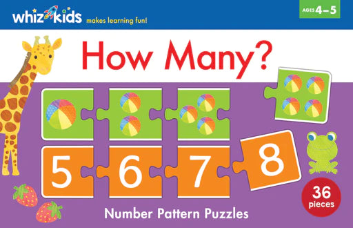 Digital Plaything for lounge play-Whiz Kids How Many?... Number Pattern Puzzles