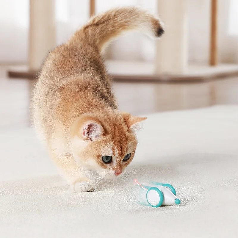 Interactive toys with sensory feedback-Petlibro Pixie Mouse Interactive Cat Toy