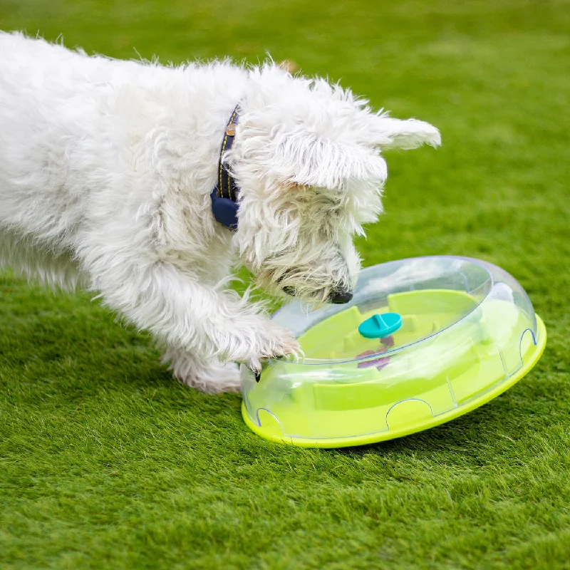 Interactive toys for learning time concepts-Nina Ottosson Wobble Bowl Interactive Slow Feeder Dog Game