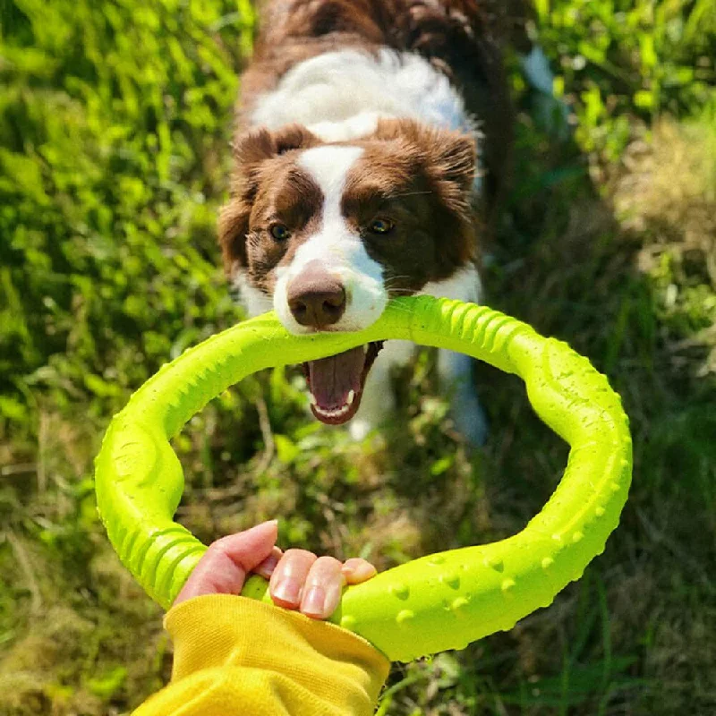 Interactive toys for exploring new concepts-War Ring Durable Waterproof Lightweight Flexible Interactive Dog Toy